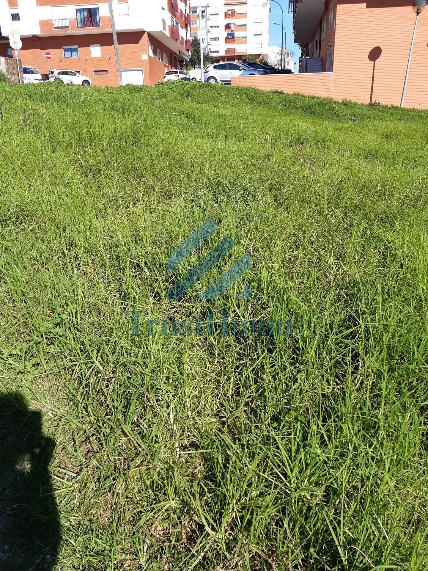 Terreno urbano